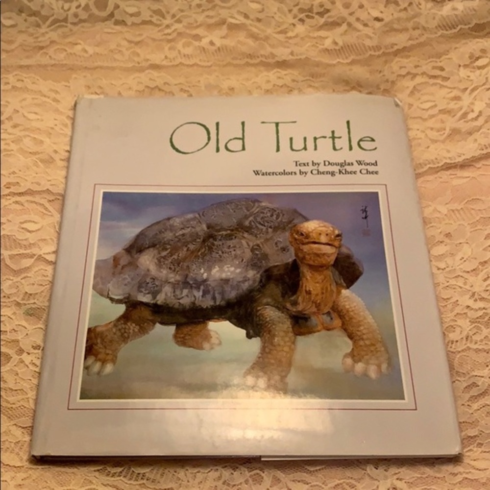 The Old Turtle by Douglas Wood Pre owned